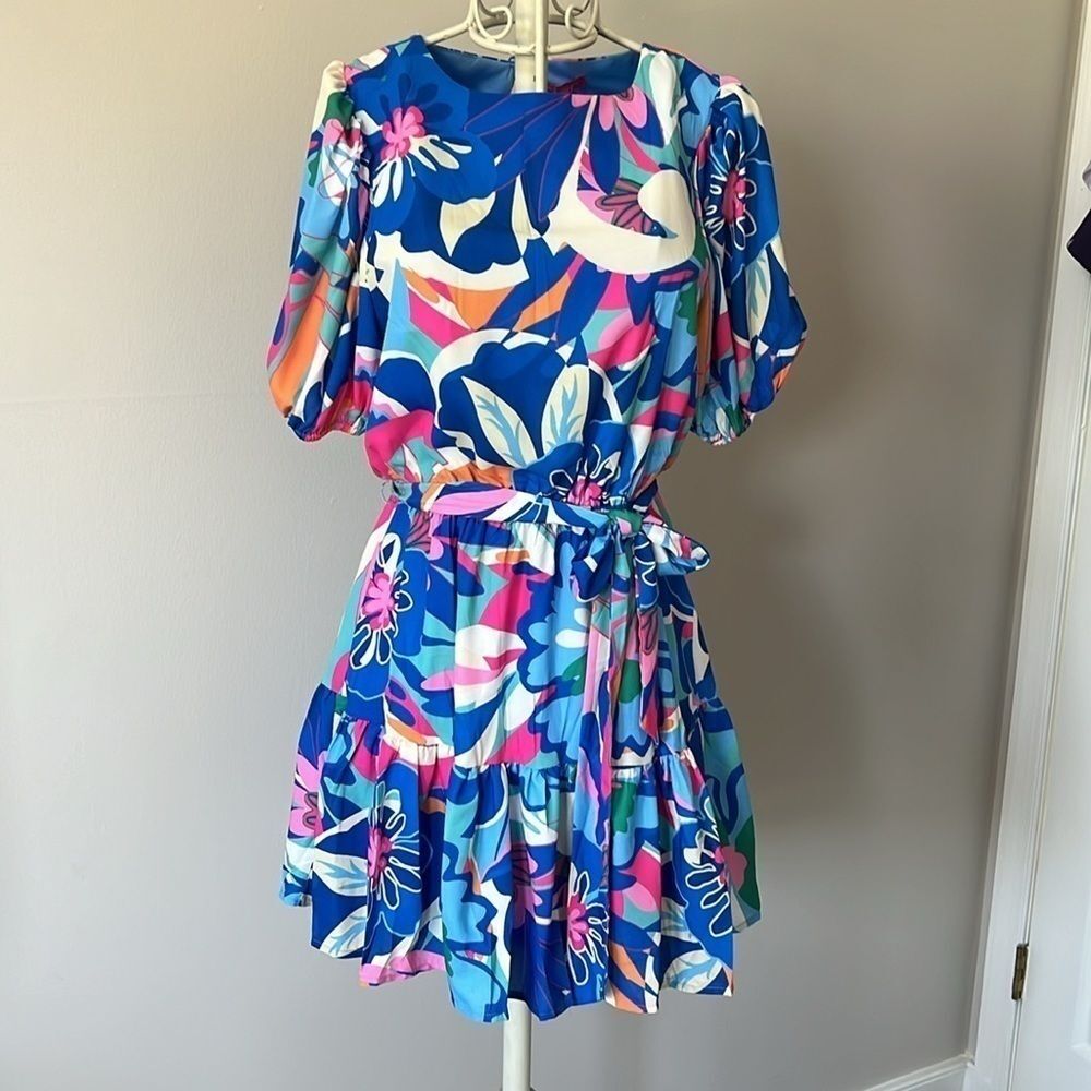NWT- wild flower floral woven mini dress - Picture 5 of 7
